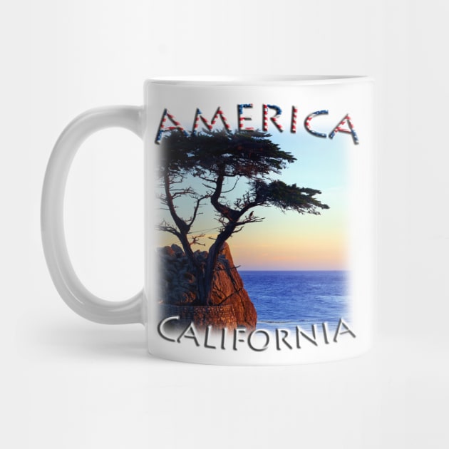 America - California - Monterey Lone Cypress by TouristMerch